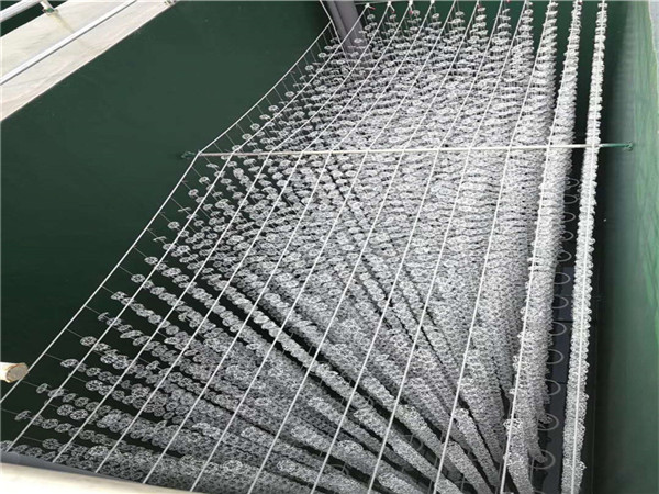 红薯加工厂的污水怎么处理,红薯污水处理小型设备