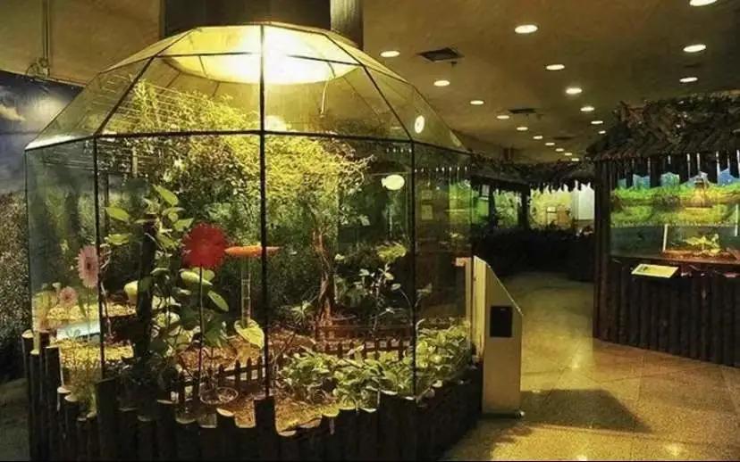 亲子玩的地方推荐上海浦东新区,浦东适合亲子游的地方推荐