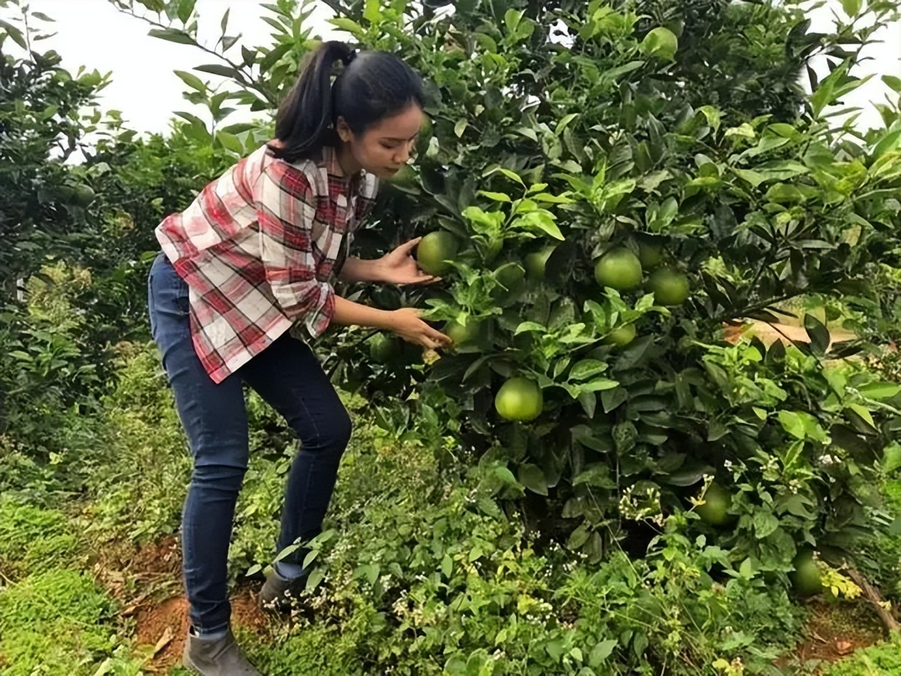 农村小伙创业养青蛙,打工小伙养殖青蛙