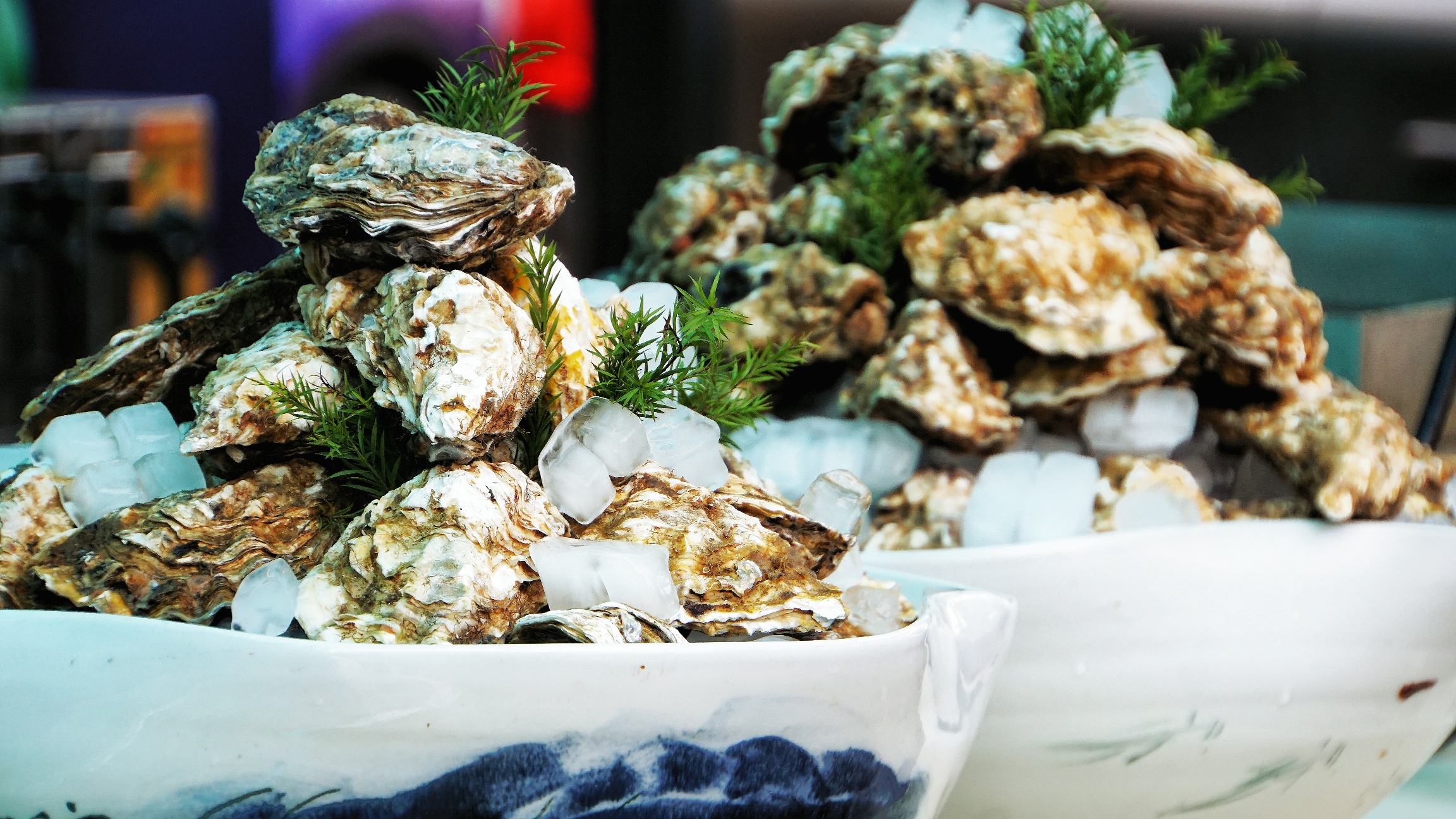 帝都中心的啤酒花园