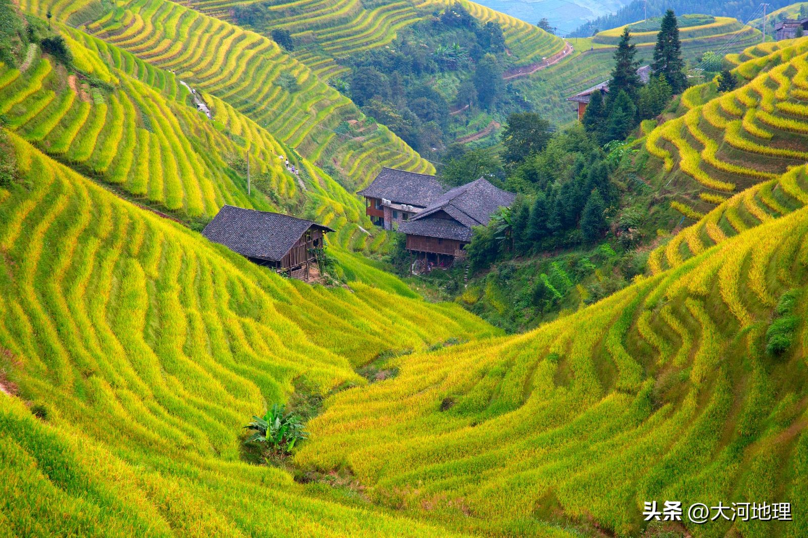 旅游攻略国内十大必去景点南方,中国南方著名景点