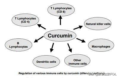 植物原料及发展趋势,植物原料化妆品前景