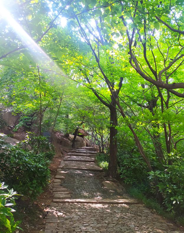 苏州天池山风景区,天池花山景区介绍