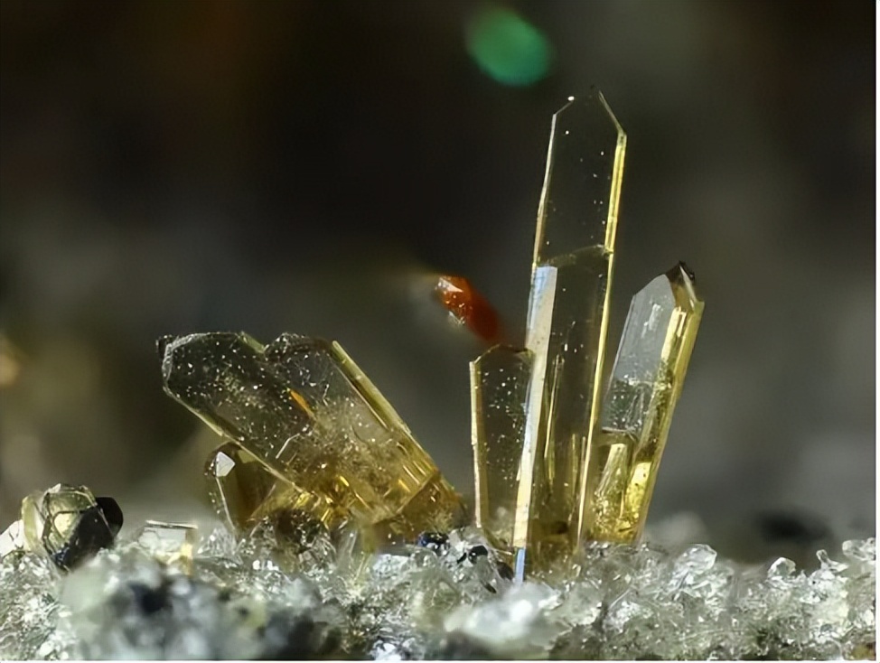 探究砷（III）物质在体外抑制氧化蛋白折叠应用