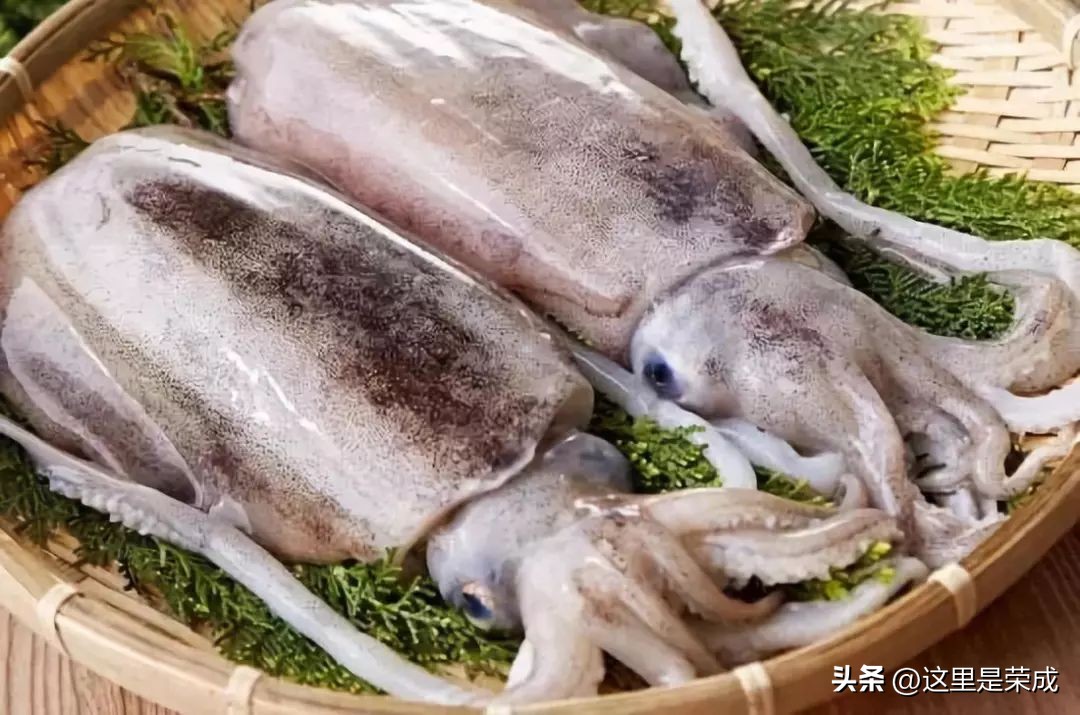 鱿鱼墨鱼鲨鱼章鱼哪个是真正的鱼,墨鱼鱿鱼和章鱼哪个营养价值最高