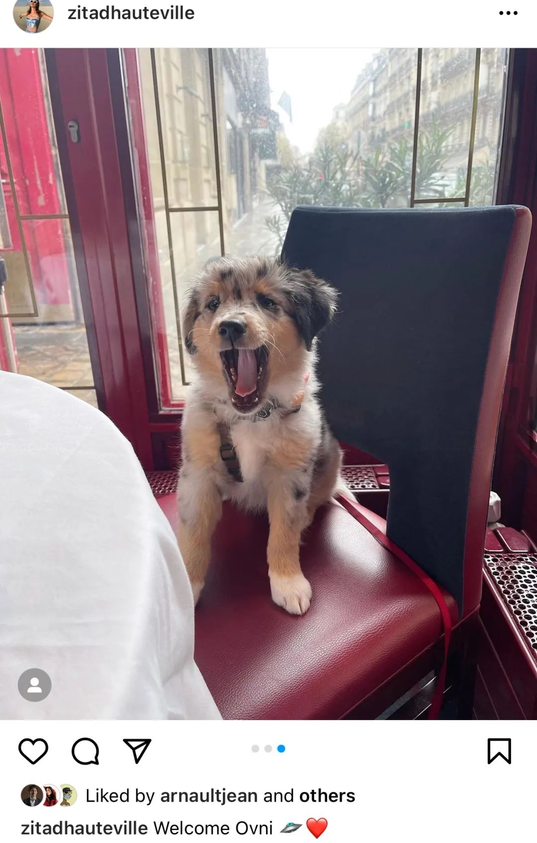 顶豪找贵族，LV家小公子的女友原来是伯爵之后…