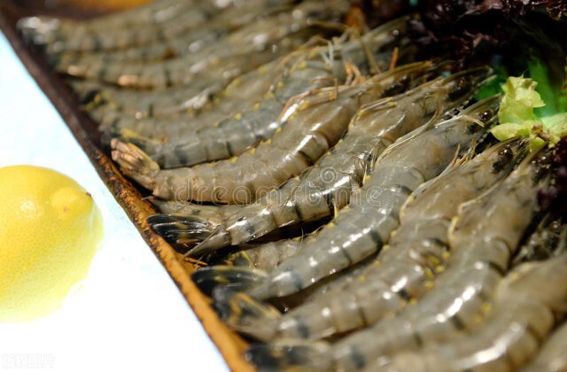 女子吃田螺死亡后续,女子吃田螺住院