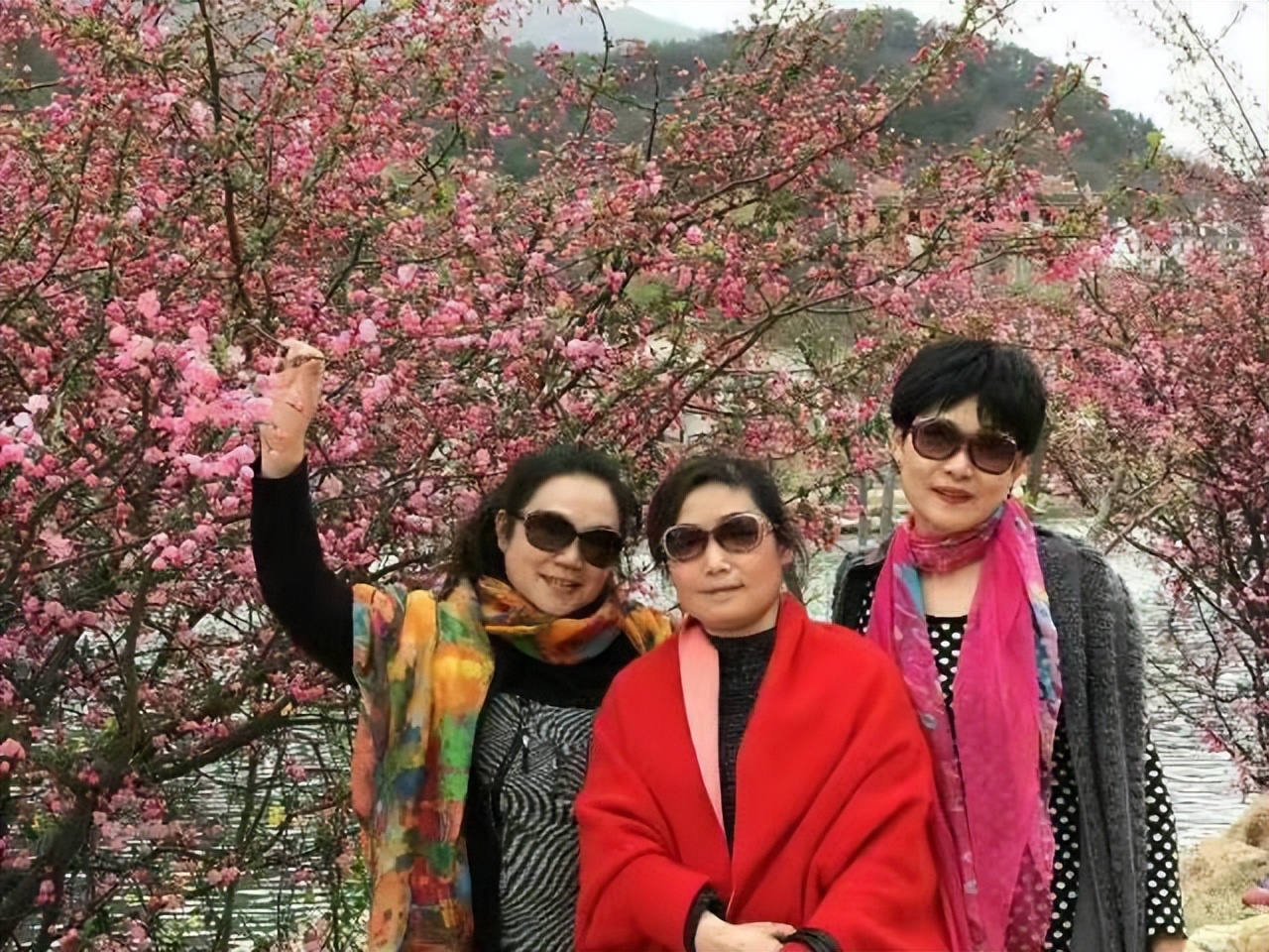 命苦不苦就看五十五什么意思,老年苦不苦就看六十五什么意思