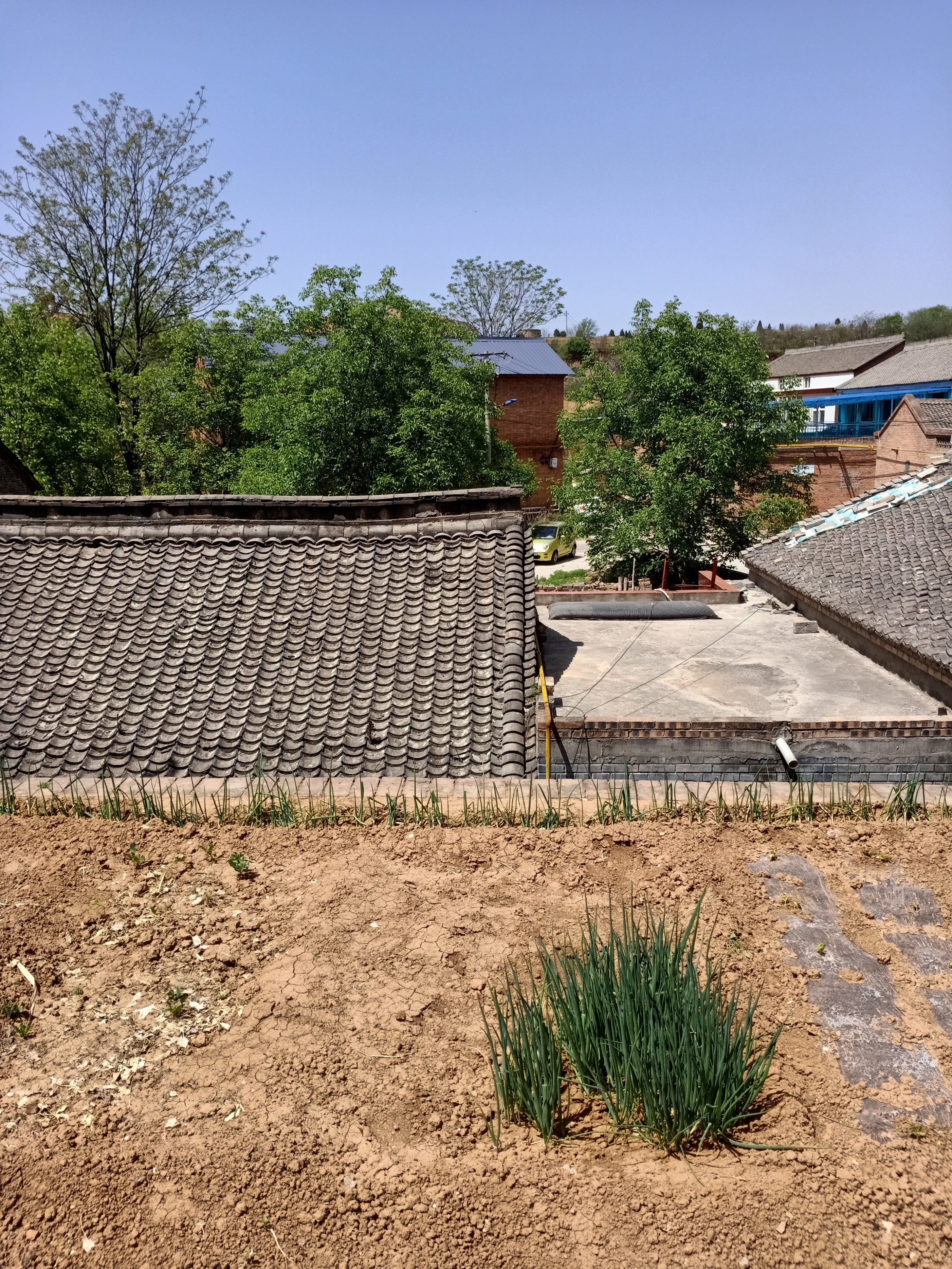 单一持股分仓波段操作,股票半仓做t还是全仓买入