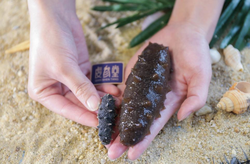 如何挑选海参的正确方法,怎样选海参才是最好的