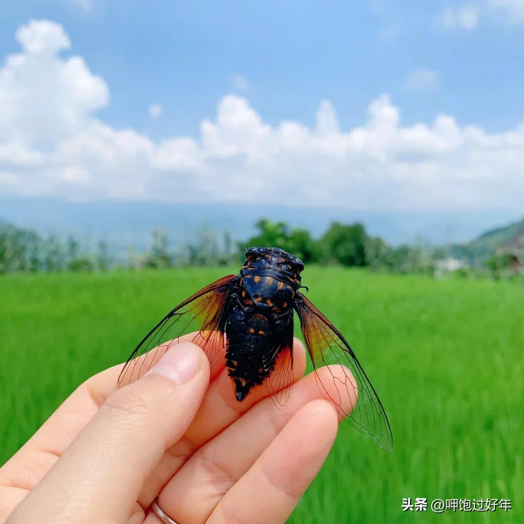 孩子写字说手指疼怎么办,孩子说写字累怎么办
