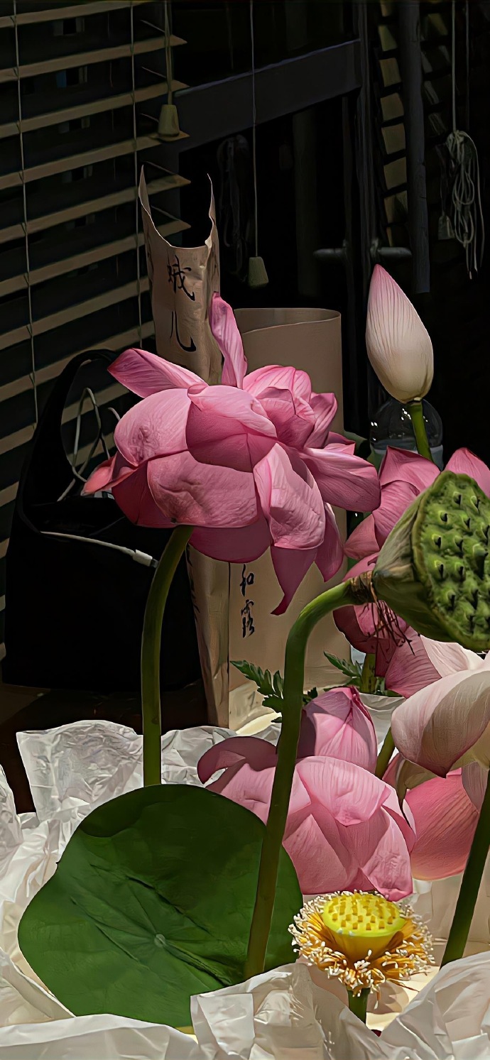 8k顶级黑色壁纸超清佛系,8k顶级黑色震撼壁纸动态