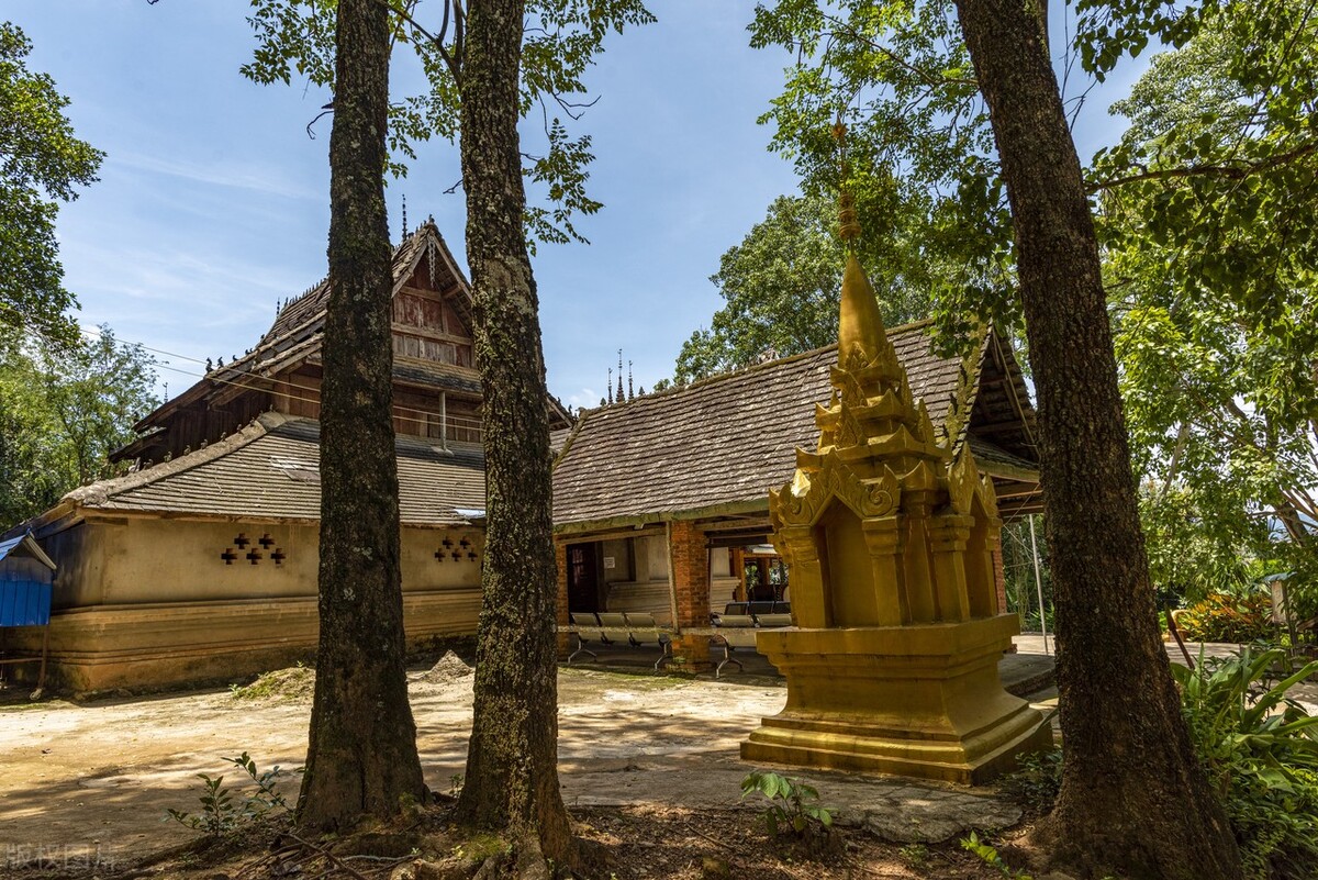西双版纳望天树景区与热带植物园,西双版纳值得去的四个旅游景点