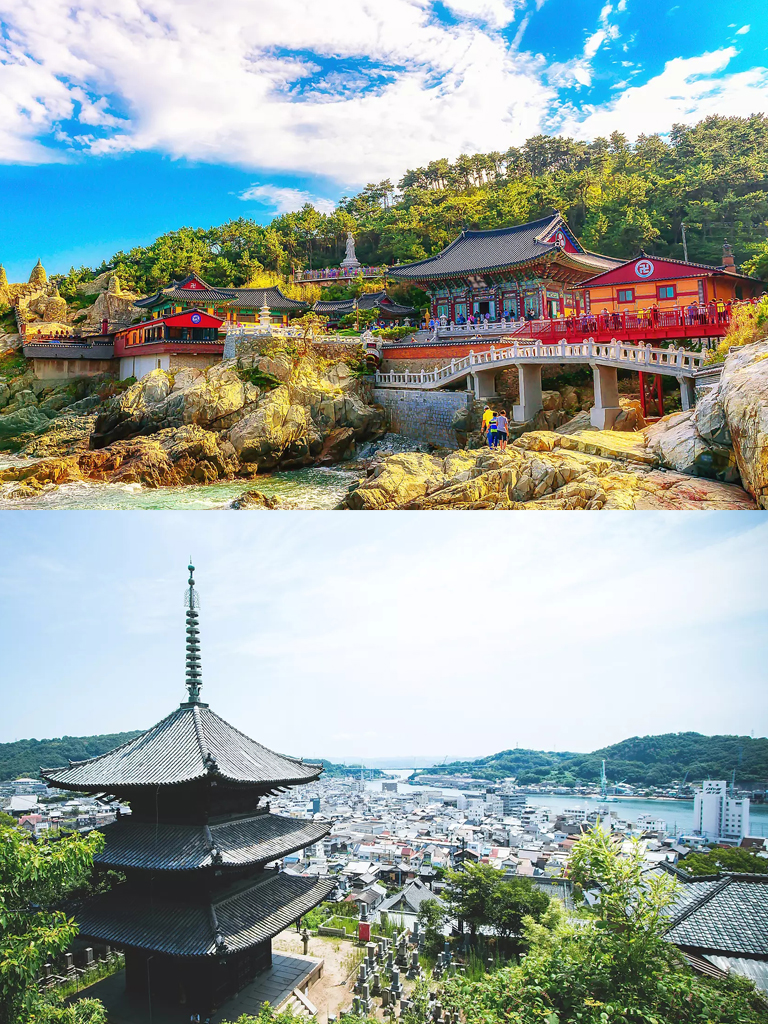 庞洛邮轮看海豚,庞洛邮轮全景图