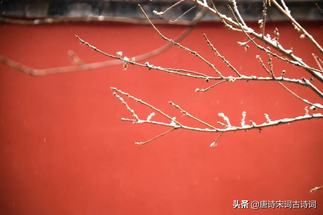 东南西北风黄安现场版,东南西北风电影插曲