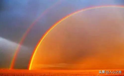 谁言寸草心报得三春晖是什么意思,谁言寸草心报得三春晖全诗