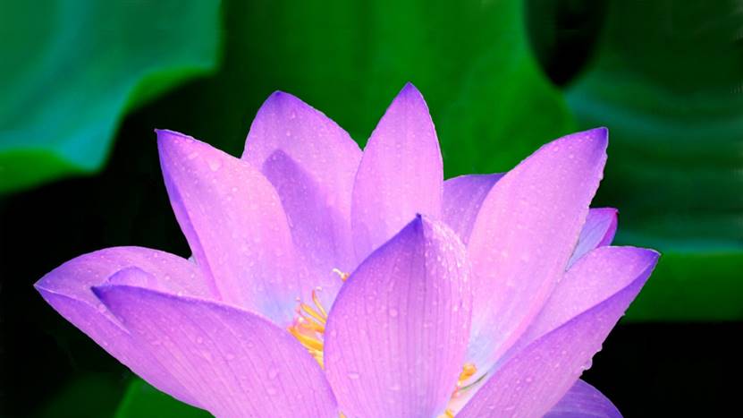 睡眠模式怎样定两个闹钟,睡眠状况可以设置2个闹钟吗