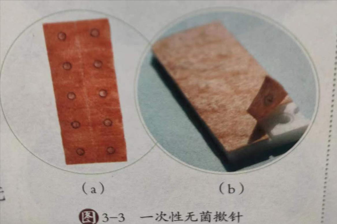 中医皮内针操作视频教学全集,皮内针针灸视频教程