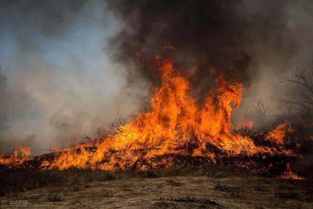 儿时打火机烧树枝,儿时的记忆火柴