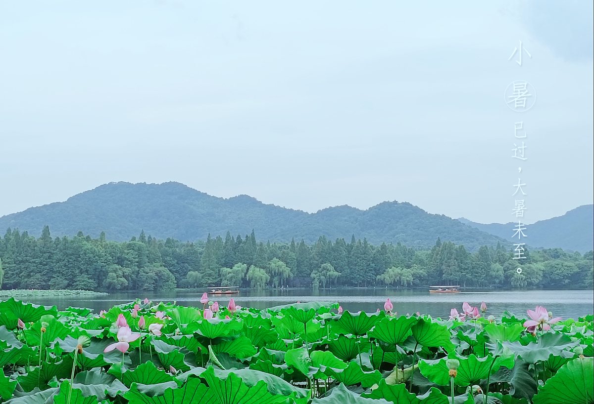 荣耀x40i屏幕参数,荣耀x40i深度测评