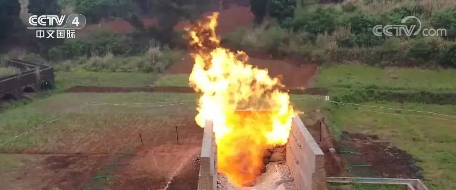 肖某被捕名单,肖某被打事件