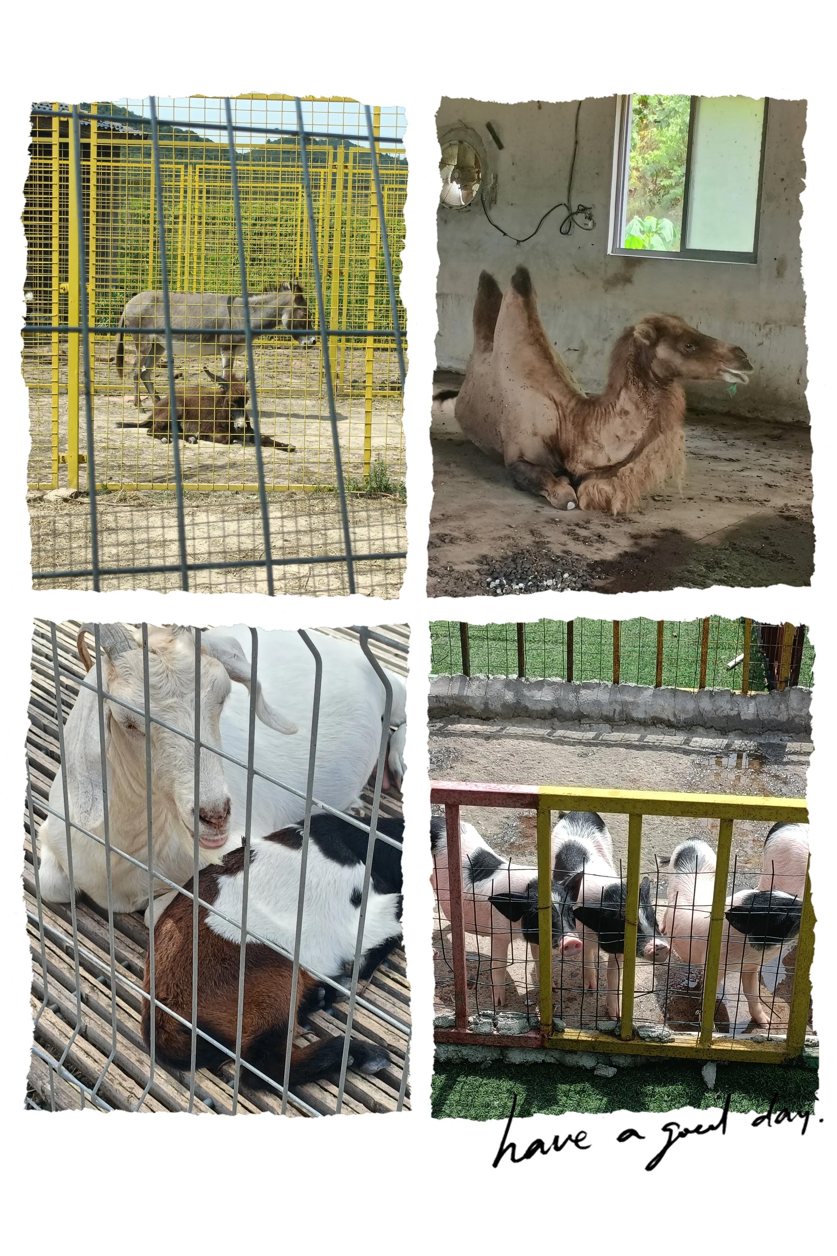 宁波达人谷度假乐园,宁波达人谷旅游套餐