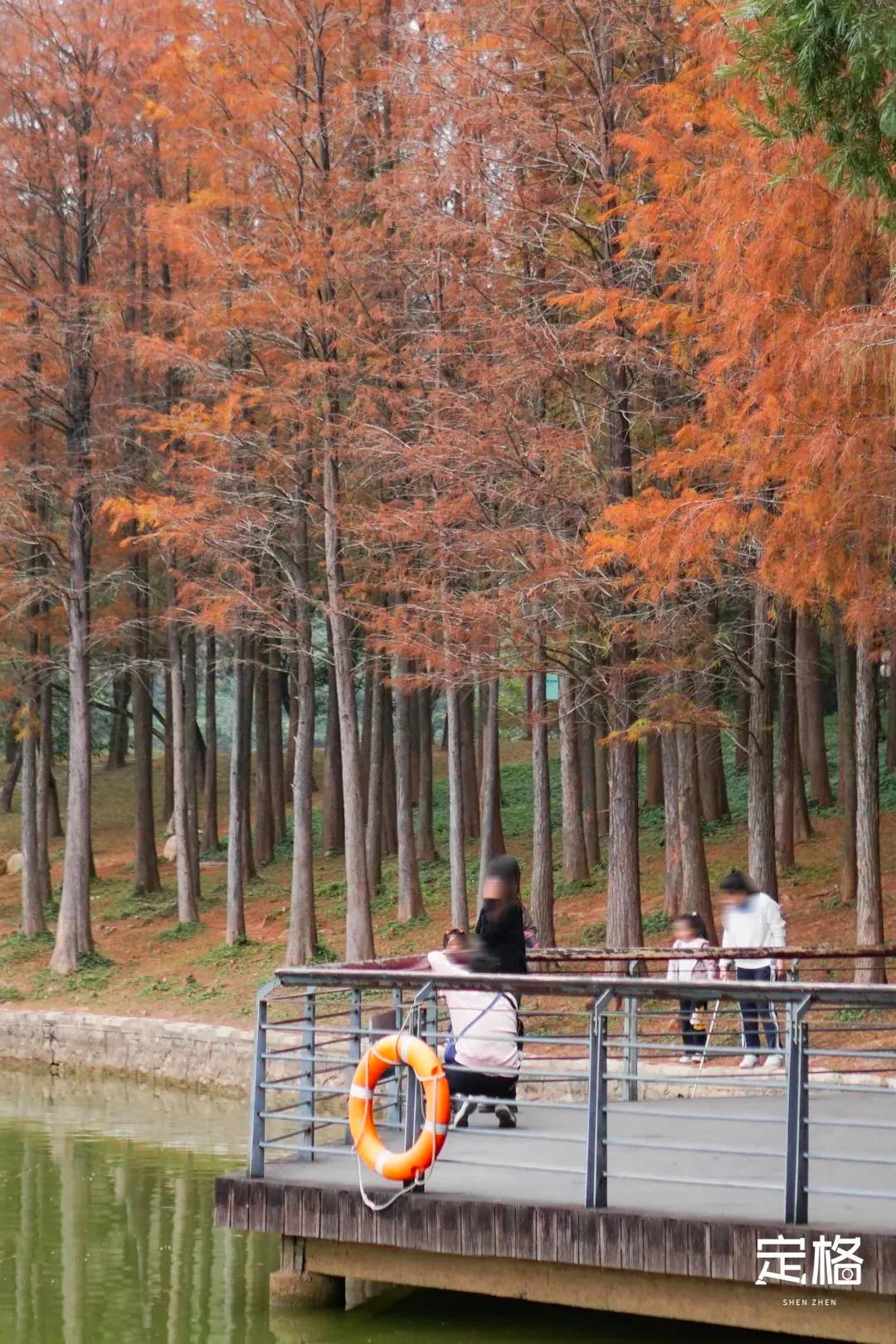 深圳最值得爬的景点,深圳十大最值得爬的山