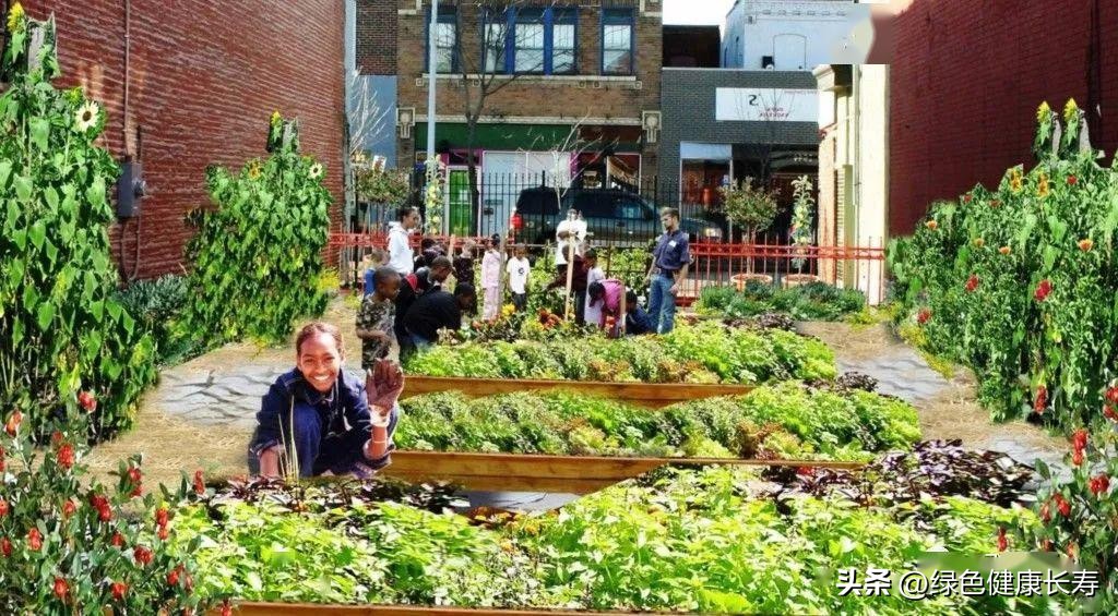 园艺疗法的主要对象,园艺治疗师前景