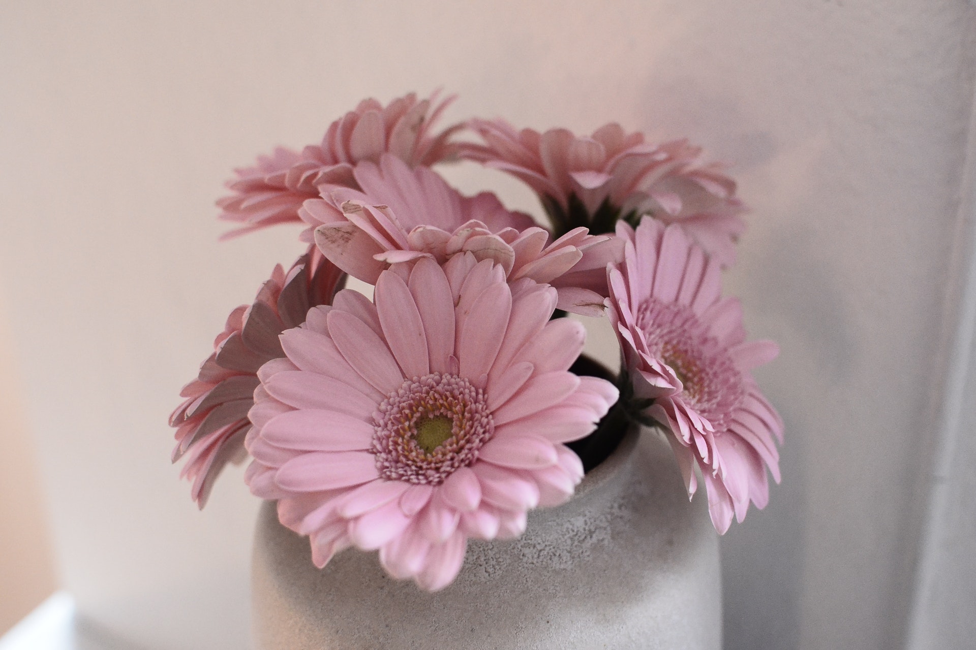 面对讨厌的人怎样才解气,面对讨厌的人翻脸没用