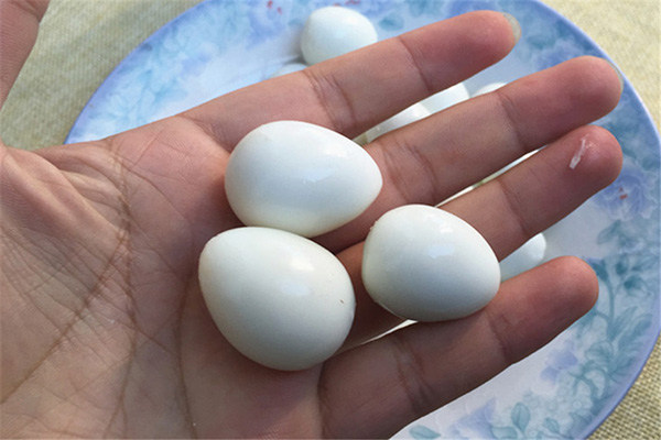 元宝鸽蛋和普通鸽子蛋有什么区别,鸽子蛋和鸡蛋价格差很多吗