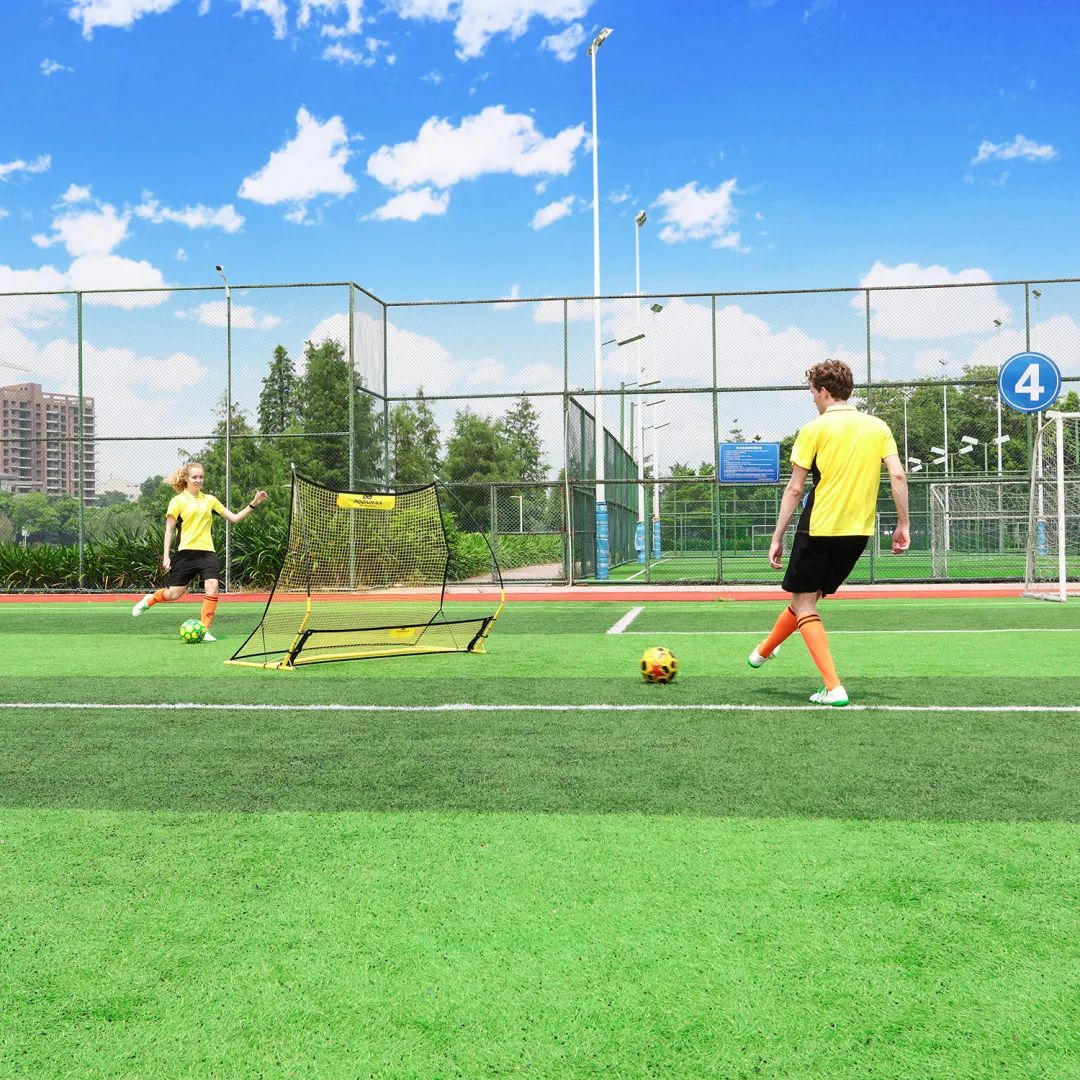 派迪茵体育股份有限公司,派迪茵体育广州