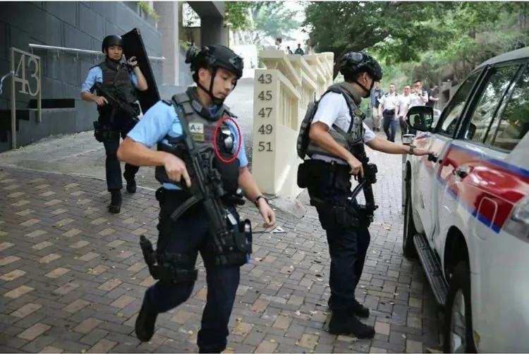 虎年说虎科普视频,虎年说虎运用了哪些说明方法