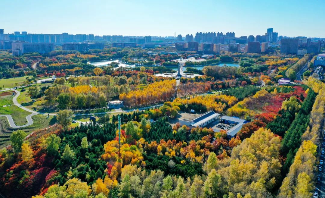 长春的秋天风景,长春周边一日游的绝佳去处秋天