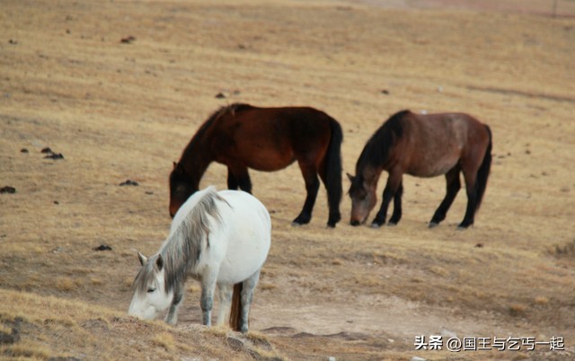 欠债的日子你是如何熬过来的,欠债的人生如何度过