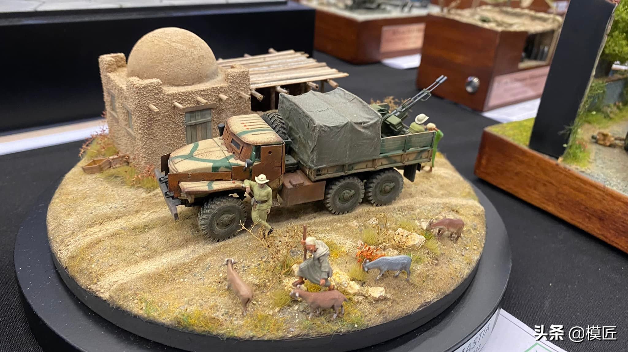 匈牙利莫森金奖,莫森模型展