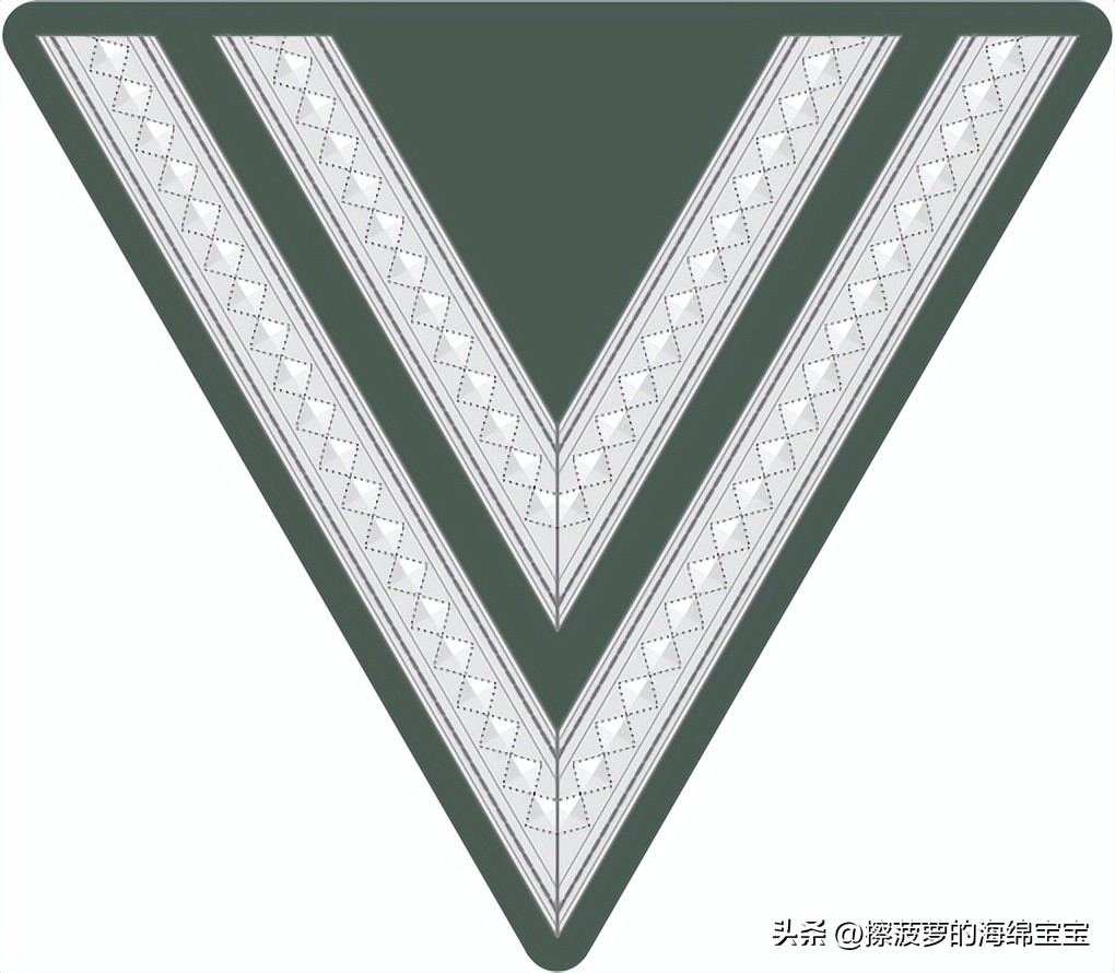 二战德国国防军医疗兵军衔标志