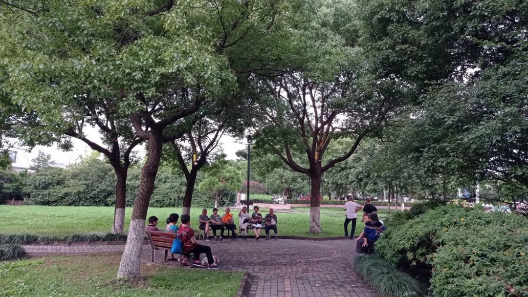 松江洞泾板块未来发展,上海松江洞泾未来5年发展