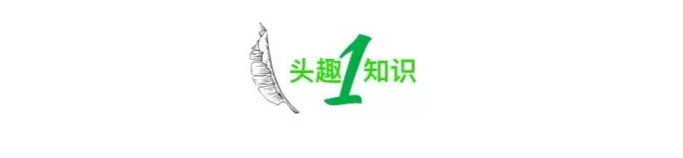 令全网窒息的“给妈妈送花遭厌恶”事件，暴露出多少不合格的父母