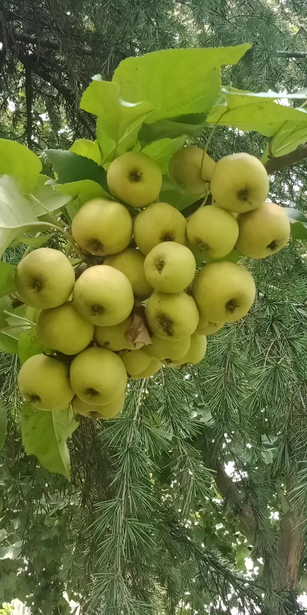 不要长时间与别人微信视频通话，有可能会耽误人家的事