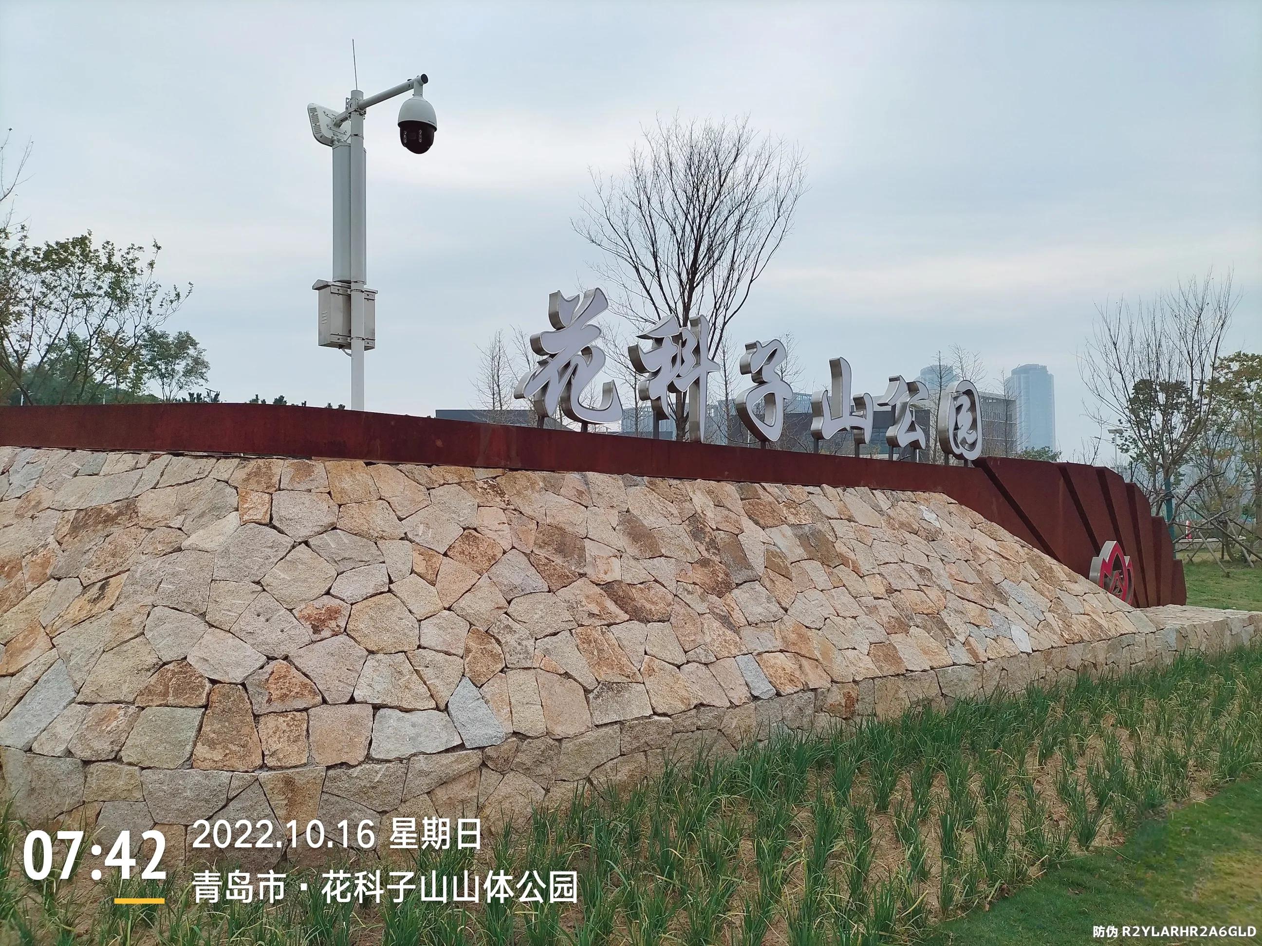 青岛西海岸赏花攻略,青岛海滨风景区一日游攻略