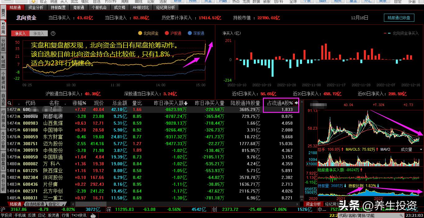 挖掘A股投资头道菜,领涨的新兴概念银屑病板块实战研究|股浪行