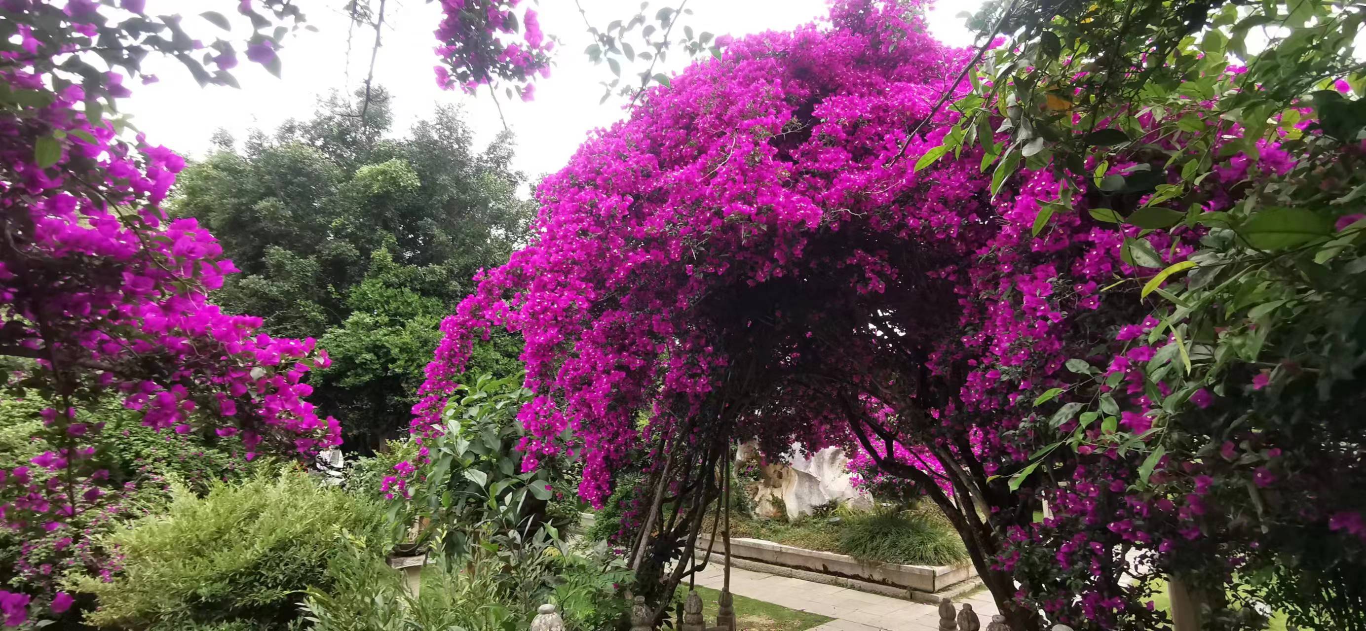 黄果树瀑布一日游作文500,黄果树瀑布一日游贵阳出发