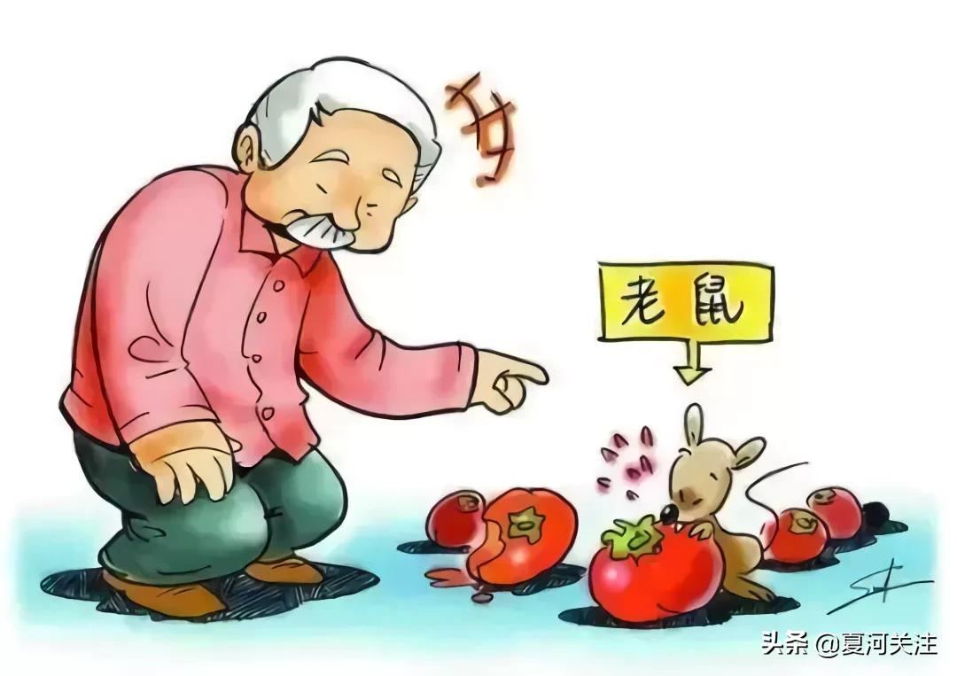 预防流行性出血热视频,幼儿园出血热疾病预防