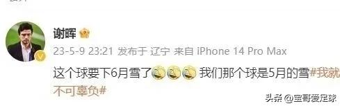 谢晖和穆里尼奥,穆里尼奥被罚出场后续