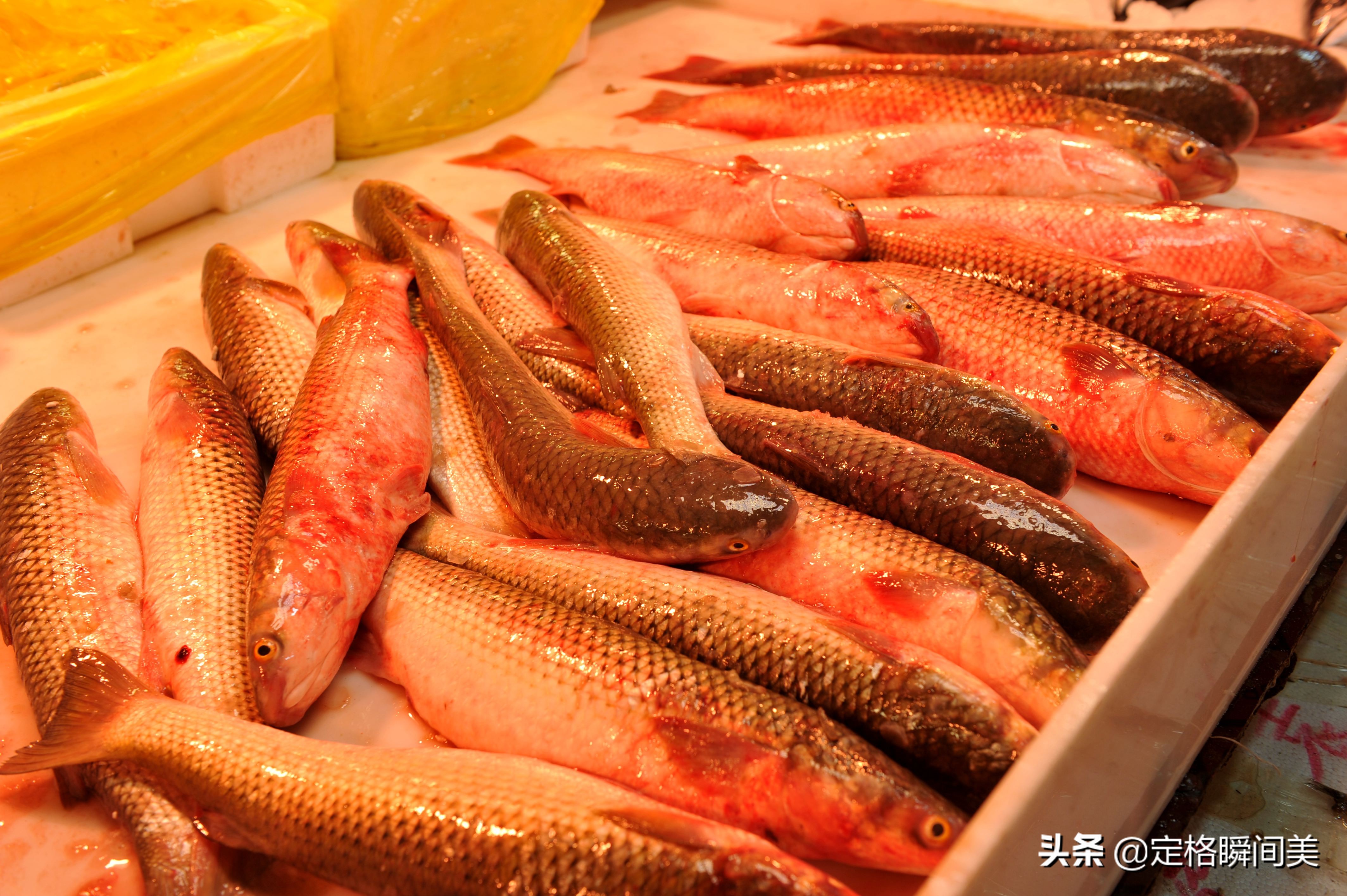 谷雨海鲜批发价格,谷雨在哪里买优惠力度比较大