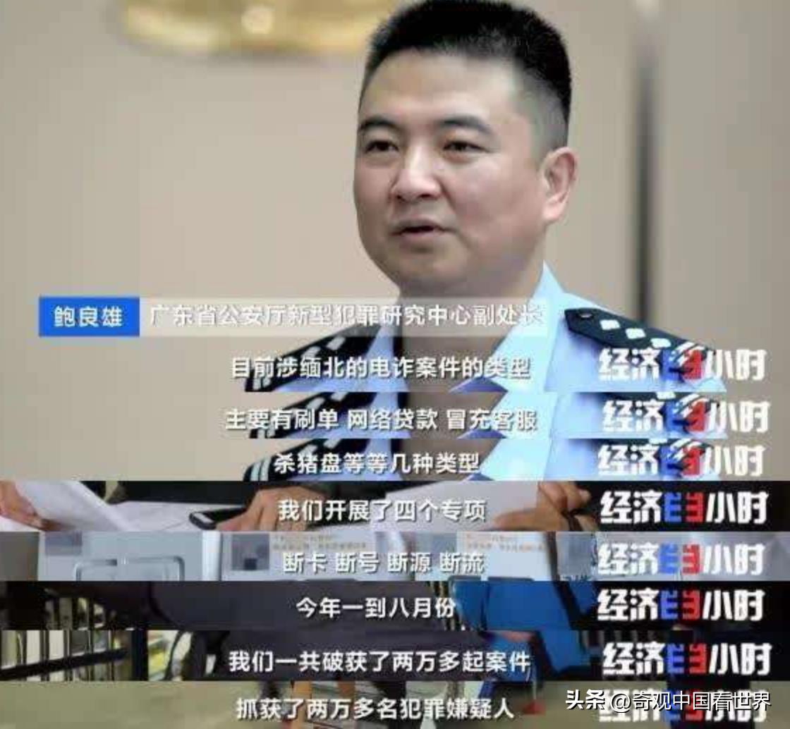 打击东南亚电信诈骗成功案例,东南亚电信诈骗案例及分析