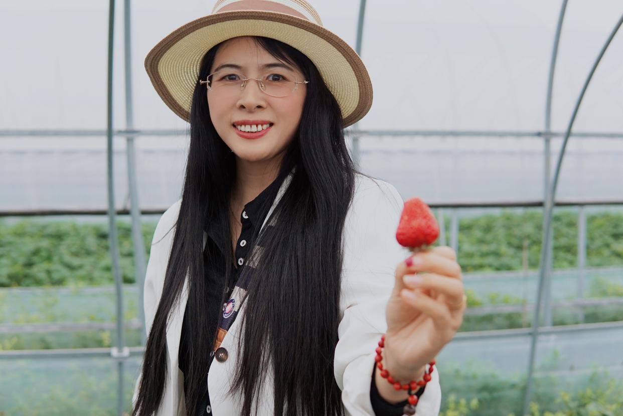 建德刀笃菜,倒笃菜是建德非遗吗