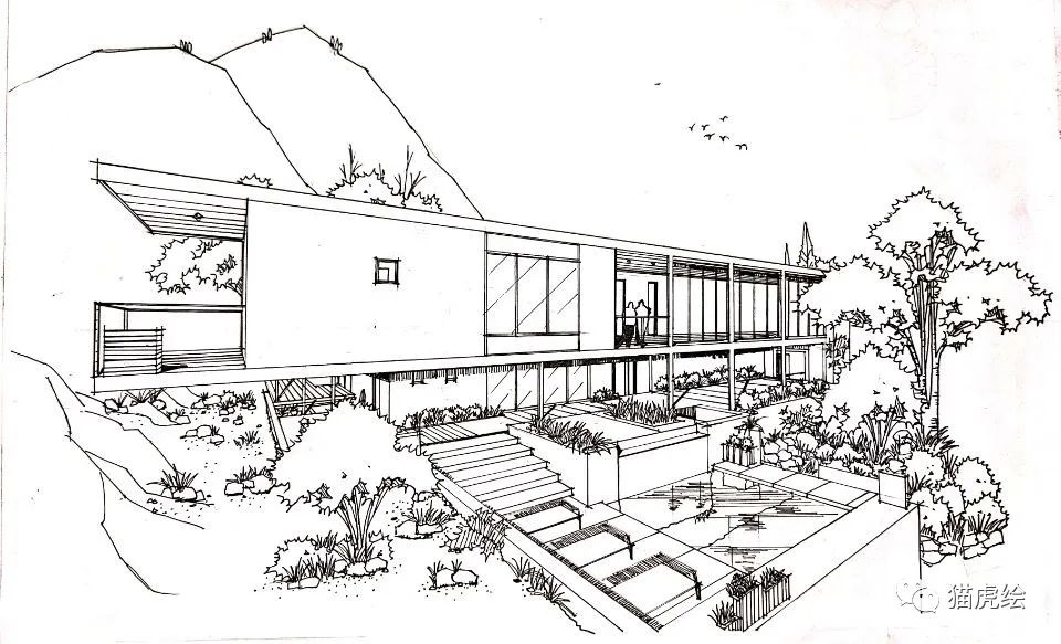 2022猫虎绘暑假手绘班招生简章「线上+线下」