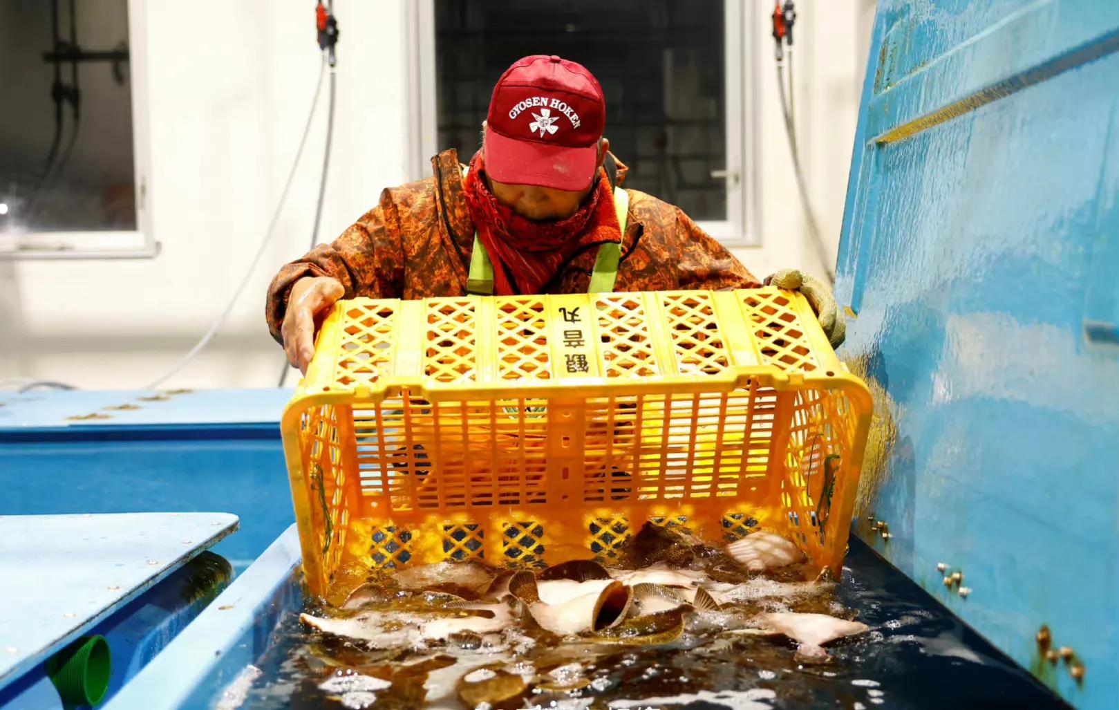 日本核辐射大米生产,核辐射大米制成包装盒