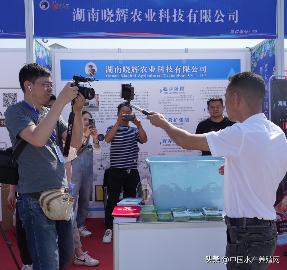 2023年南县小龙虾价格行情,南县小龙虾价格报价